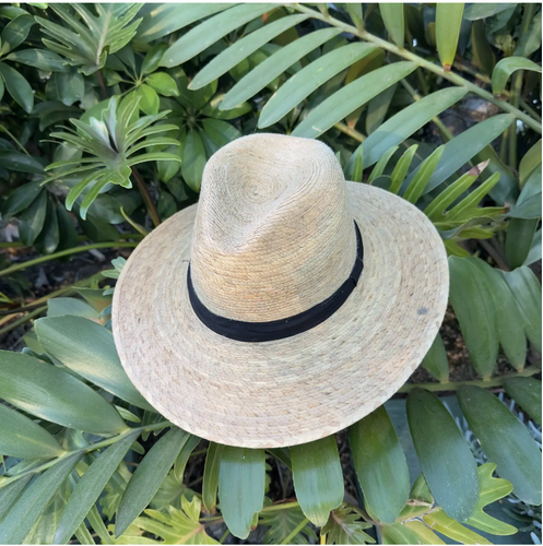 Classic Palm Straw Fedora